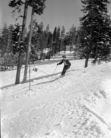 Badger Pass