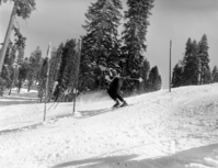 Badger Pass