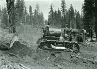 Yosemite Lumber Co. Best 60 cat dragging sugar pine loaf.