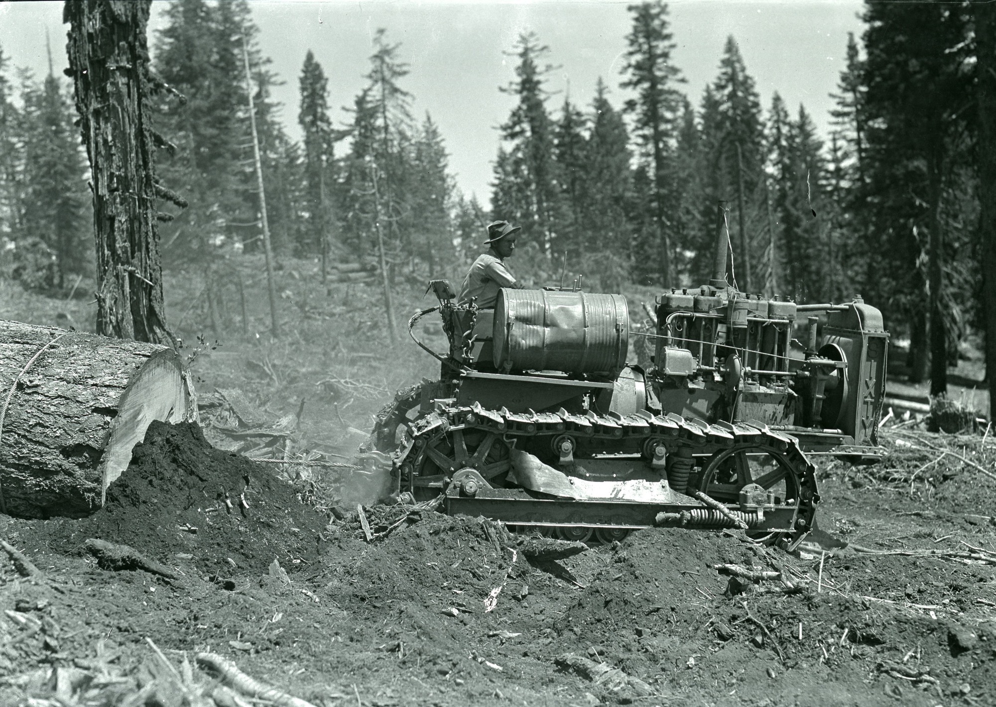Yosemite Lumber Co. Best 60 cat dragging sugar pine loaf.