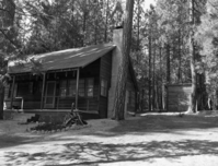 Foresta. Henninger. D-2.