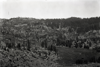 Copy Neg: Leroy Radanovich, November 2001. Yosemite Lumber Co. Looking north across 11 mile meadow - Wawona Road screen (seen?) in distance. Museum Collections Cat. No. YOSE 81675.