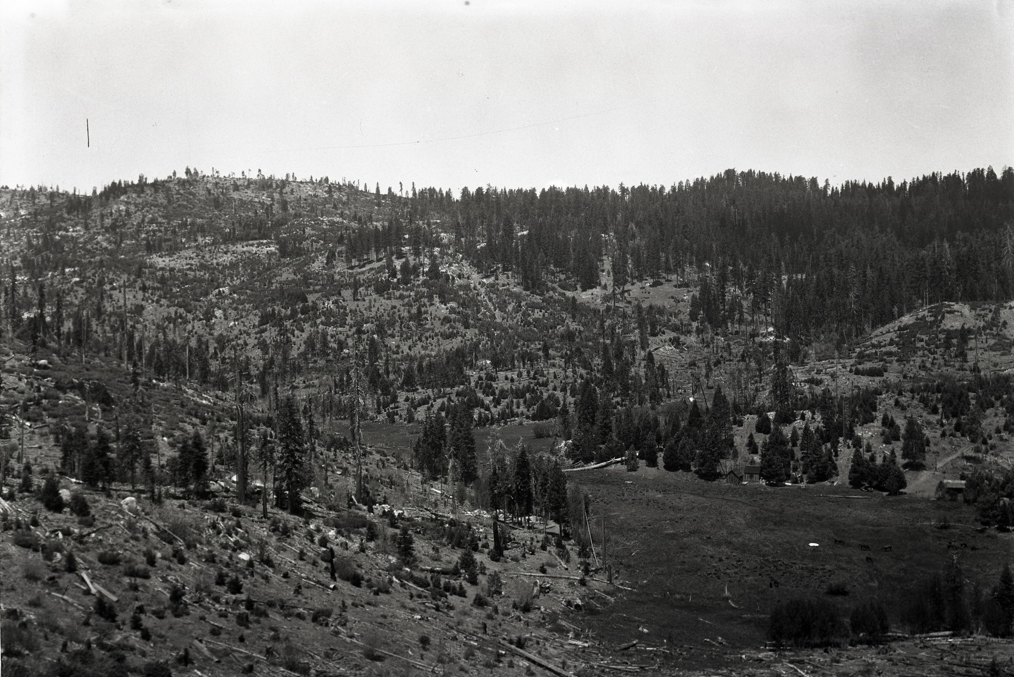 Copy Neg: Leroy Radanovich, November 2001. Yosemite Lumber Co. Looking north across 11 mile meadow - Wawona Road screen (seen?) in distance. Museum Collections Cat. No. YOSE 81675.