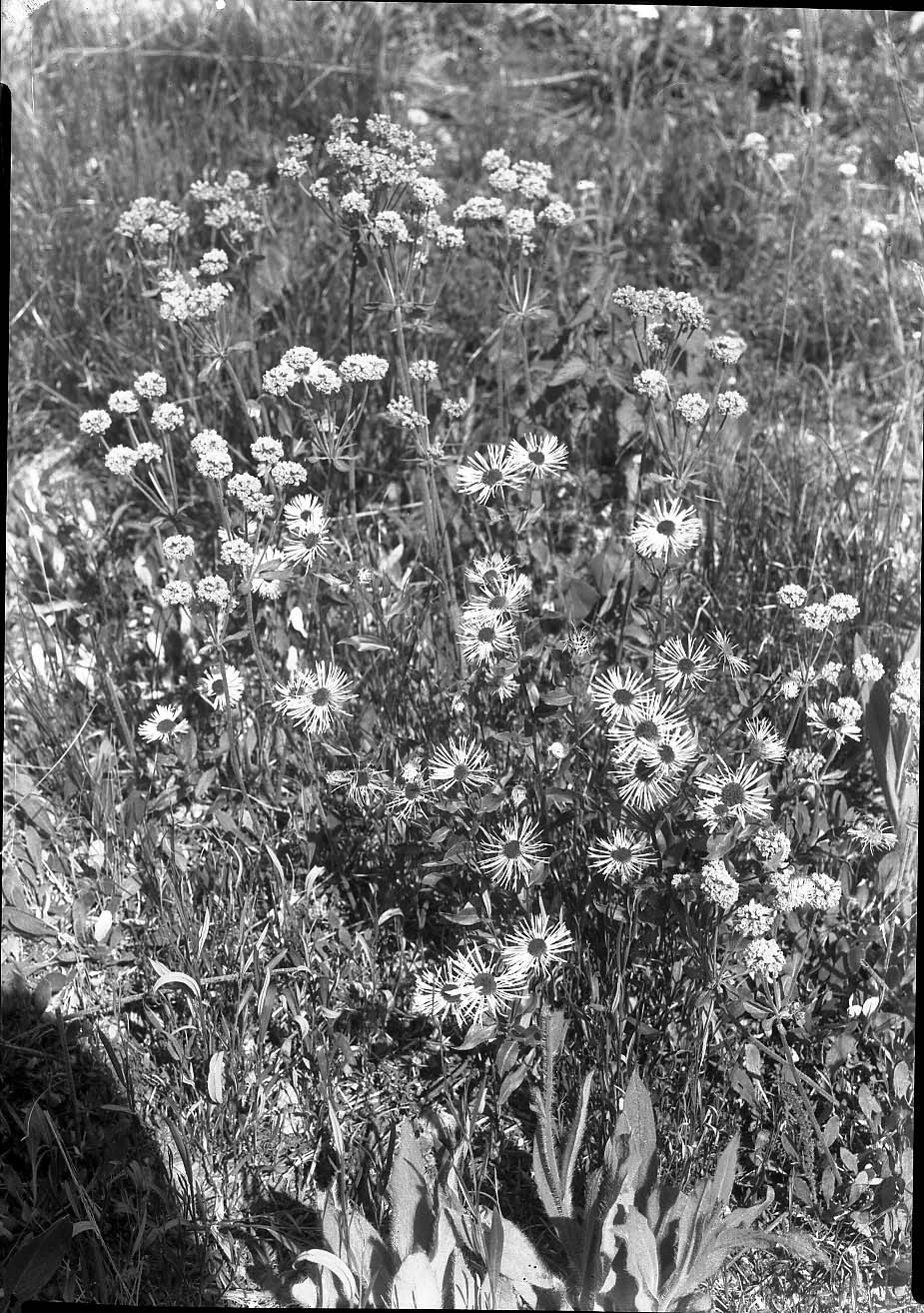 Grand Teton National Park