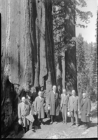 Congressional party at Tuolumne Grove. L-R: Senator James P. Pope, Idaho; Congr. Carden, Kentucky; Congr. Brent Spence, Kentucky; Congr. Rhos. Ford, Los Angeles; Congr. Richard Welch, S.F.; Senator Edw. P. Costigan, Colorado