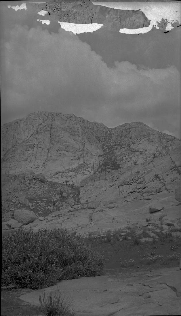 Sequioa National Park