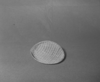 Mrs. Donald Segerstrom Collection. Object: Western Mono model winnower. Dimensions: 7 1/2 x 6 1/4". Materials: Redbud, with ceanothus rimstick. Technology: Diagonally twined, up to right slant of turns, single rimstick attached by beginning at base and coiling around and over original start. Photographed by Michael Dixon. Catalogued by Craig Bates and Barbara Beroza. Yosemite Collections, National Park Service. 1/83.