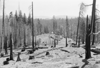Cherry Valley area west of Lake Eleanor; (taken to record area before extensive reservoir development)