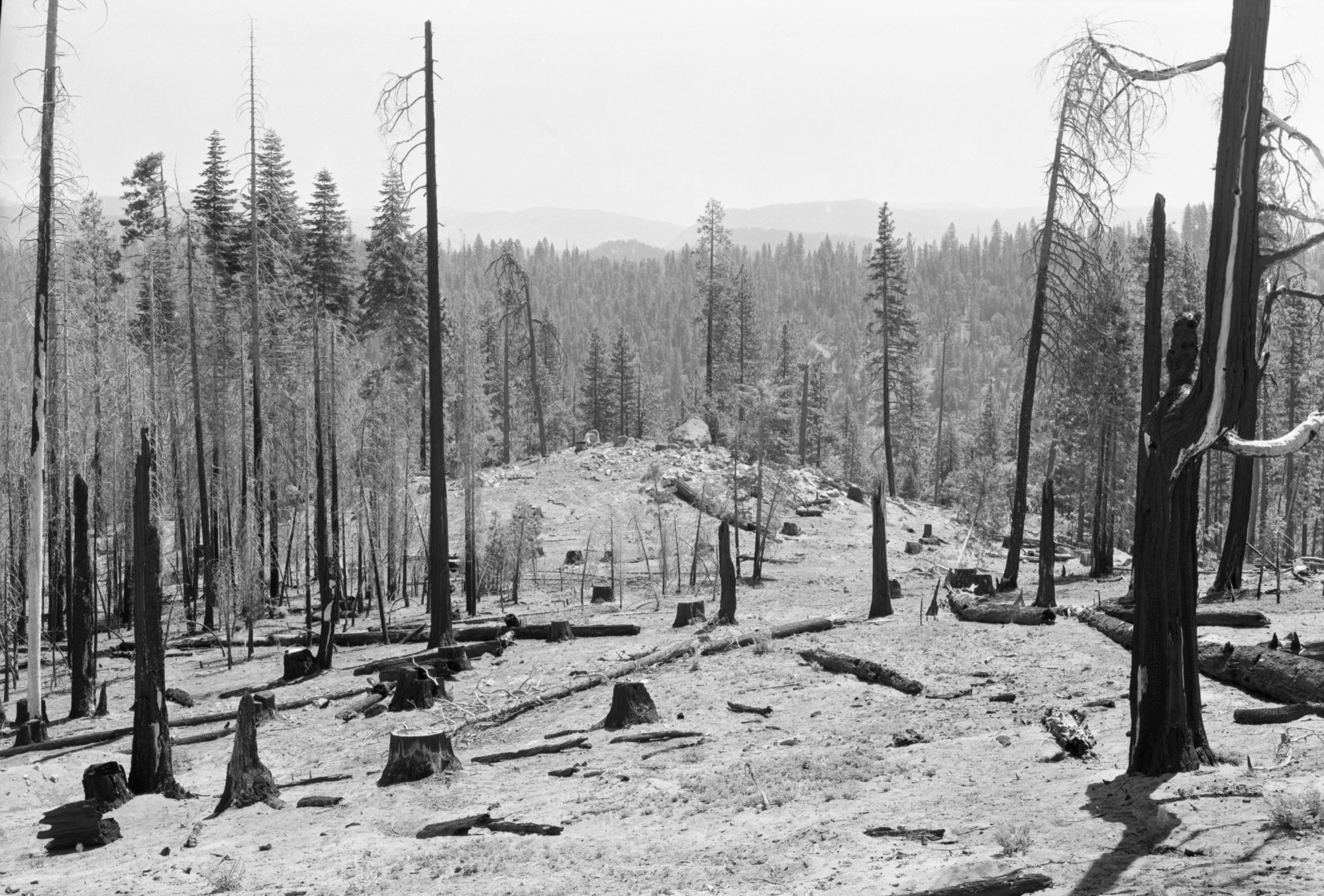 Cherry Valley area west of Lake Eleanor; (taken to record area before extensive reservoir development)