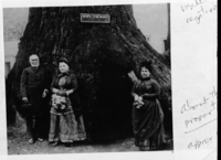 On photo attached to photo card: "General John C. Fremont, the 'Pathfinder', who was instrumental in freeing California from Mexican rule. Photo taken in 1886, with his wife and daughter in front of 'General Fremont' tree, shortly before his death.