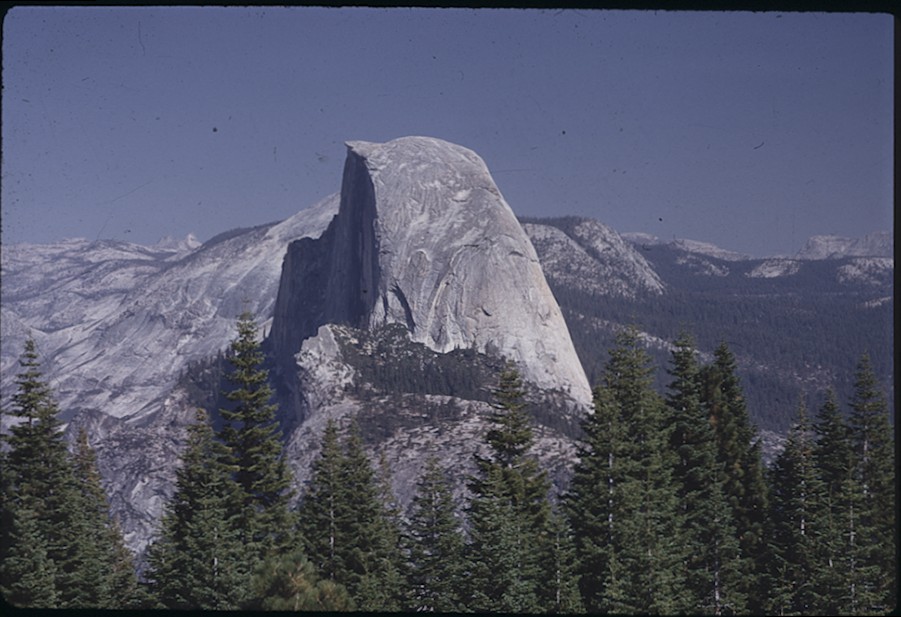 Half Dome from Washburn Pt