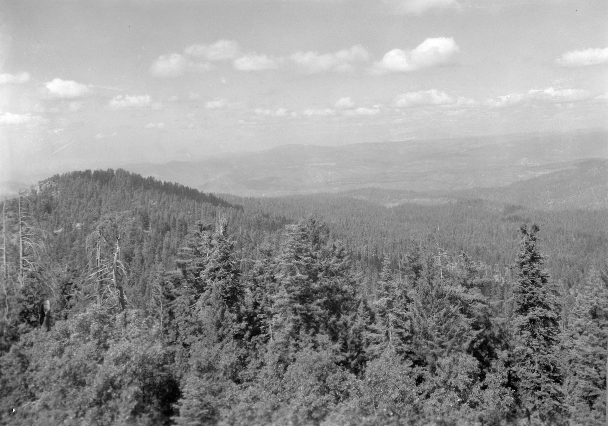 Big Oak Flat Road. General view of Little Pilot Peak and the country to the north of Big Pilot Peak. Picture taken from the Pilot Peak lookout station.