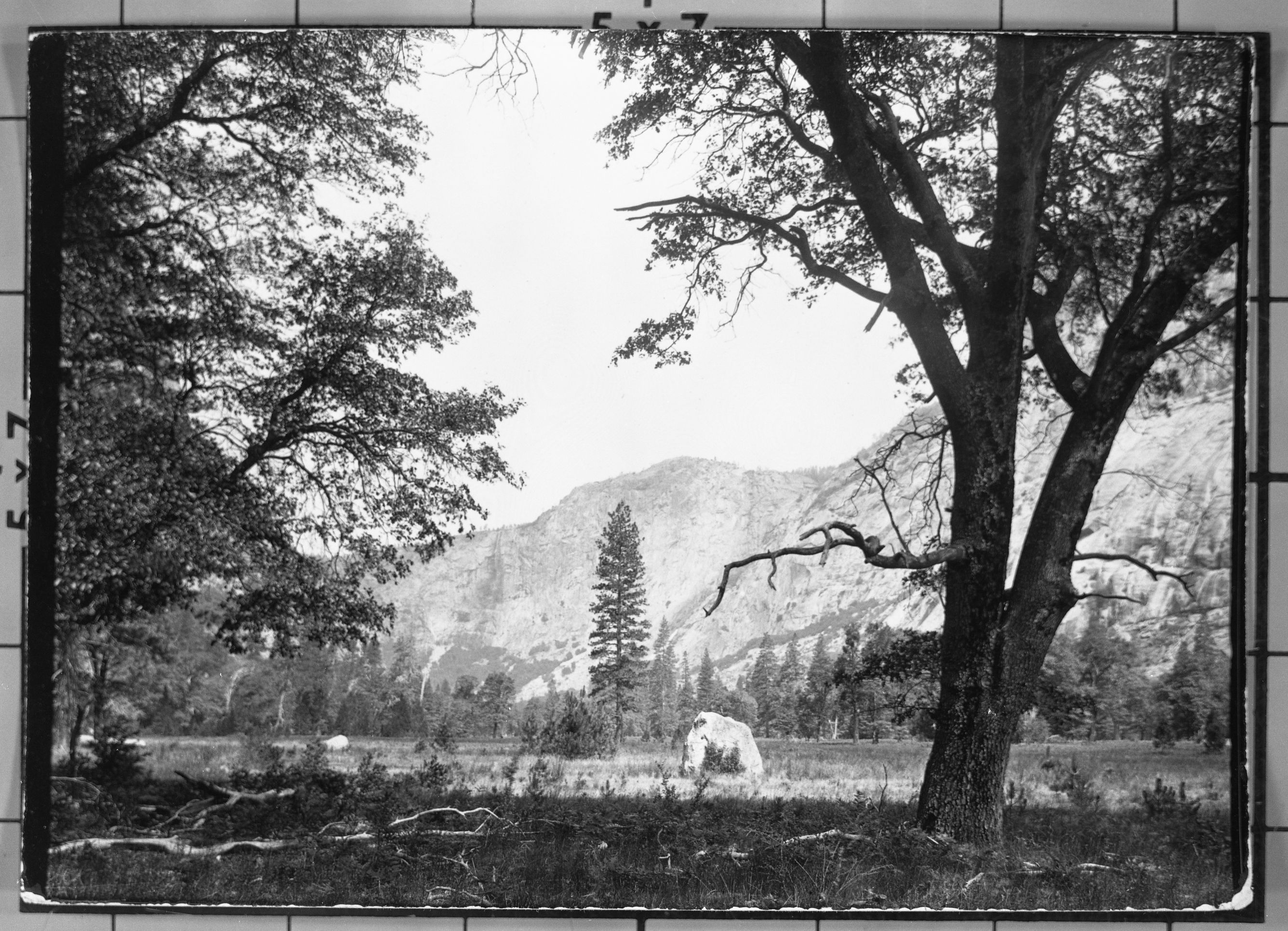 Hetch Hetchy Valley. Original in YNP Collection (Cat. #20,179). YM-29,191.