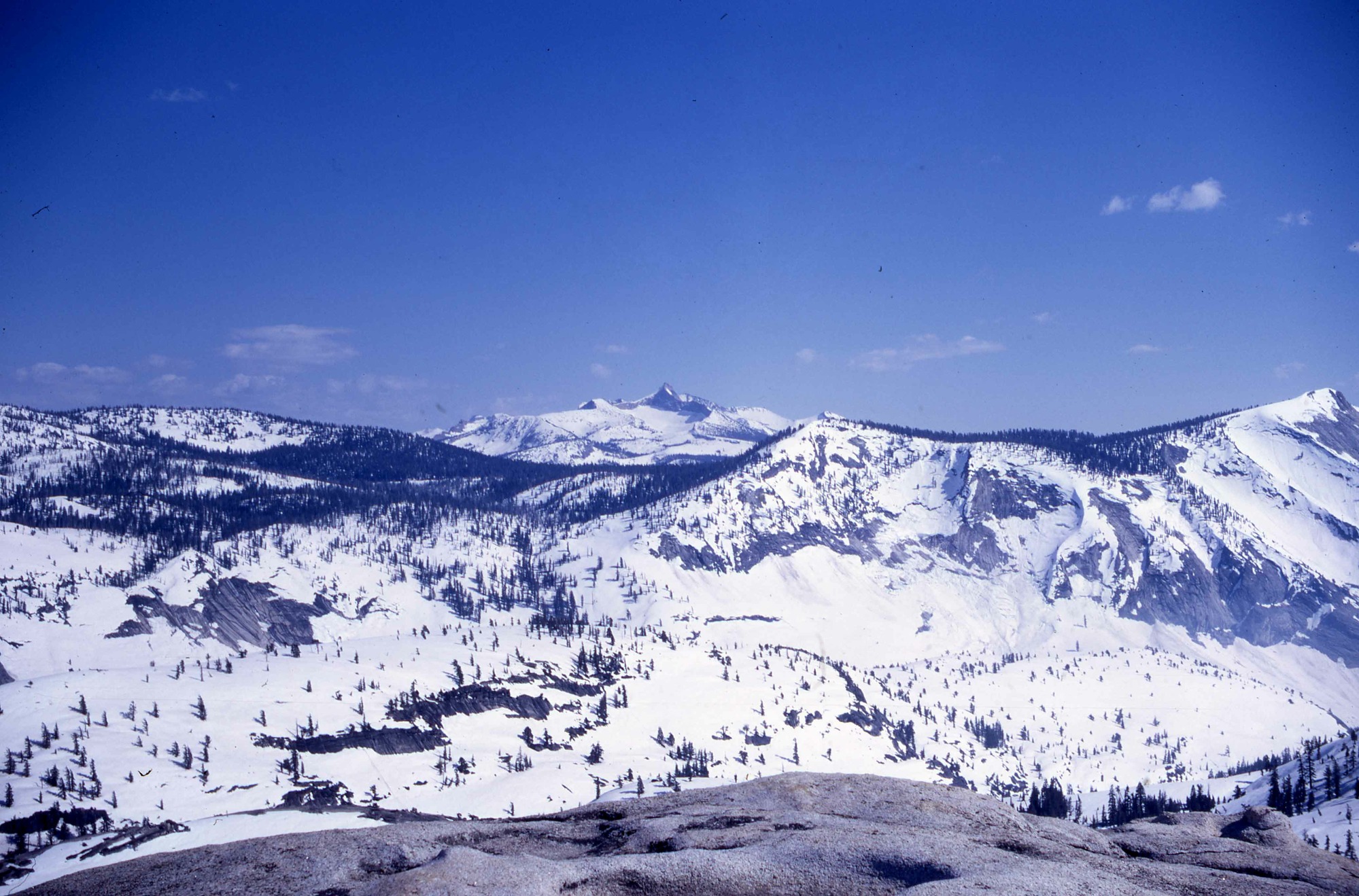 Tenaya Canyon, Mt. Lyell