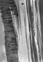 Badger Pass, panorama.