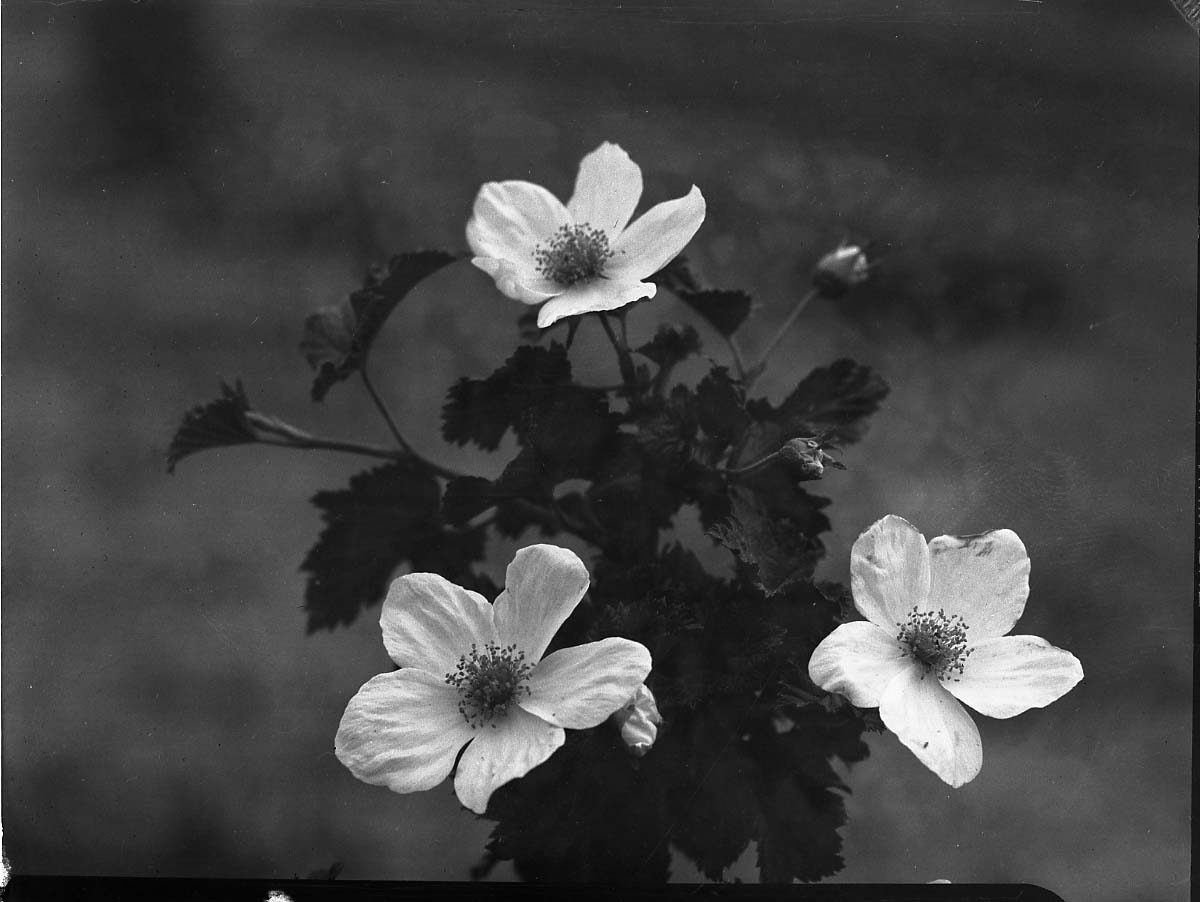 Rocky Mountain National Park