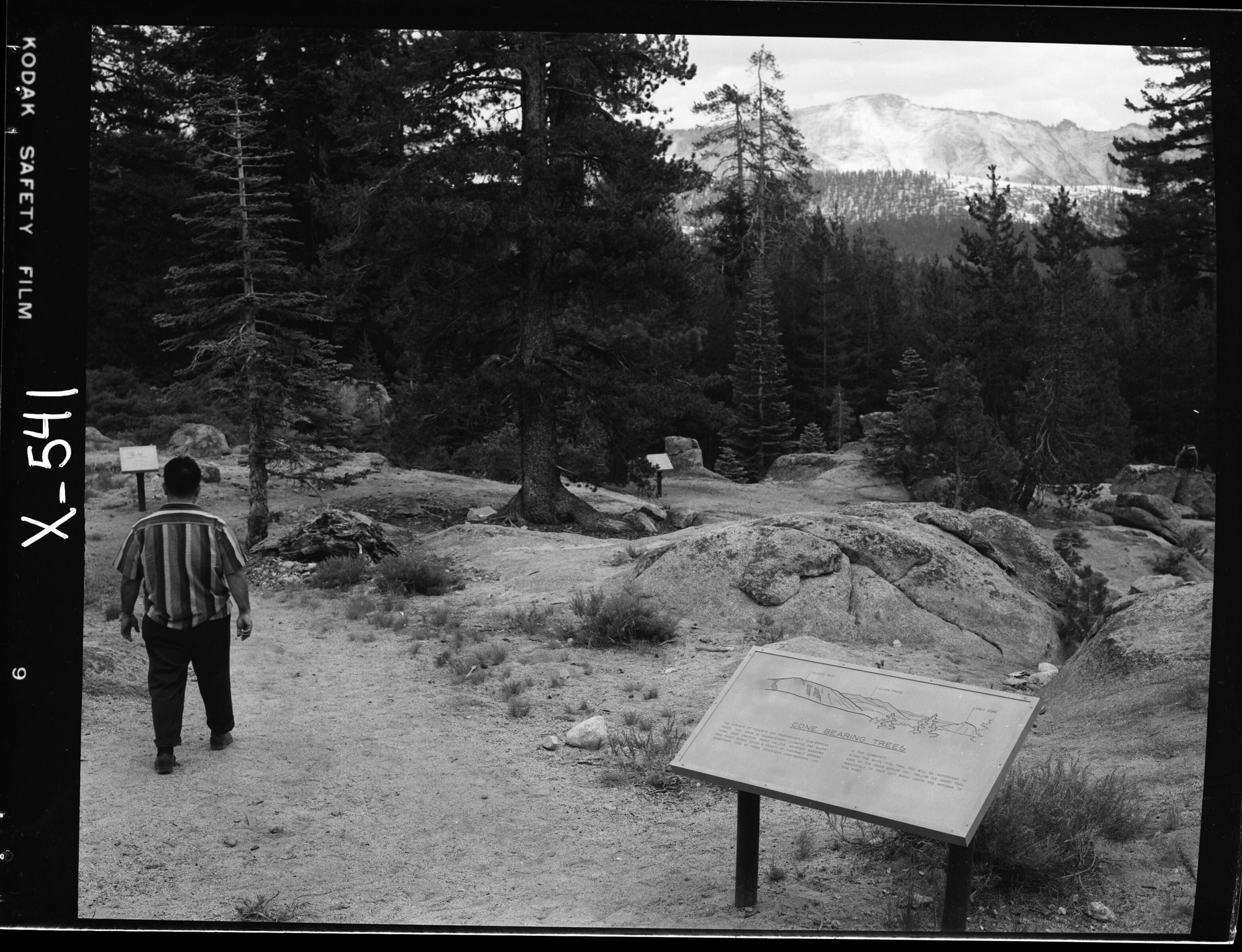 Interpretative signs along Tioga Road