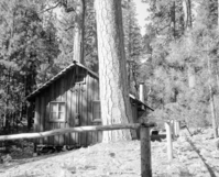 Foresta. [Stanley] Swain. C-10. [Torn down by NPS].