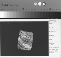 Copy Neg: 1981. Front view of C. See card with front view for information.