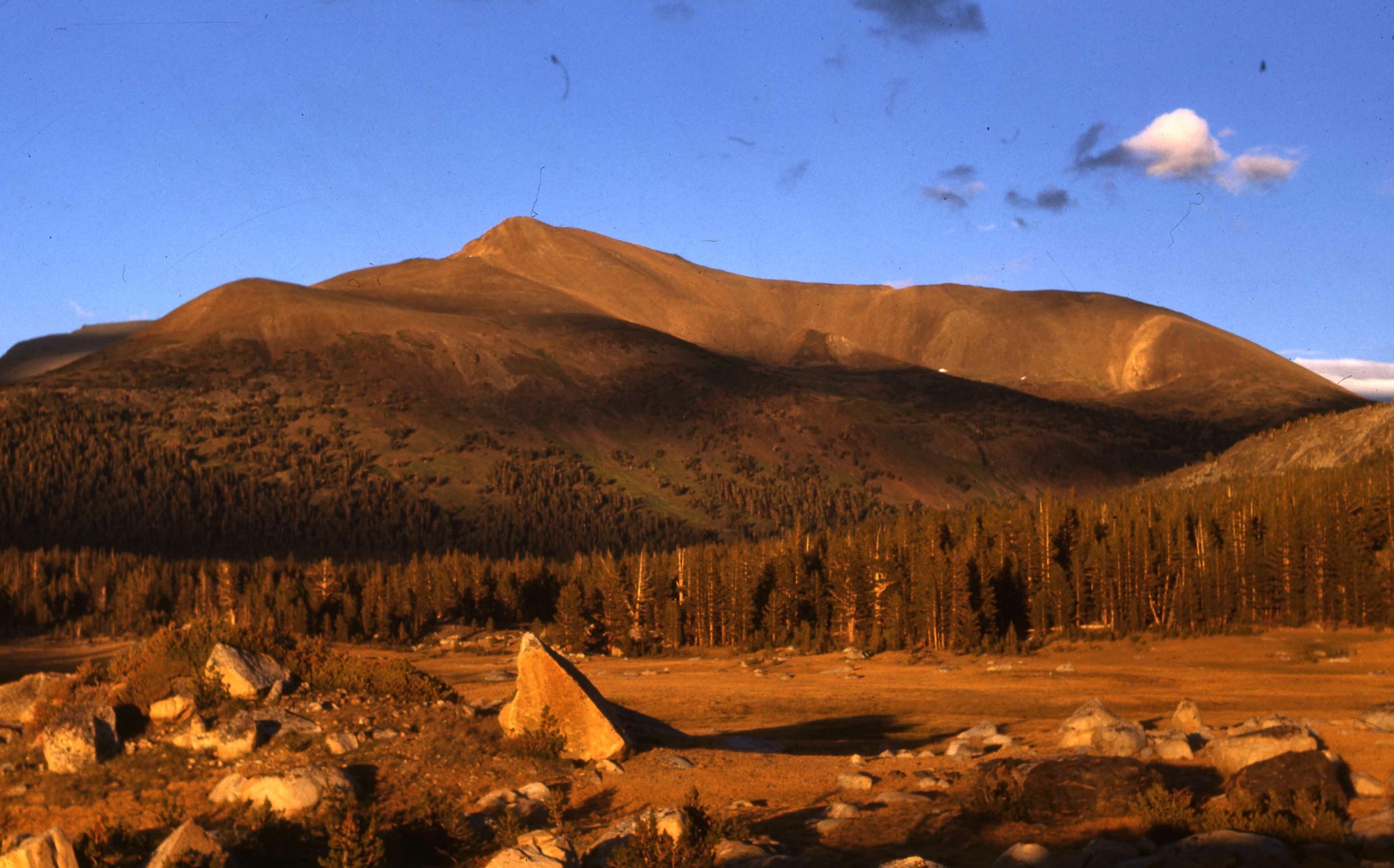 Mt. Gibbs from Dana Meadows