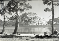 Lake with Lodgepole pines.