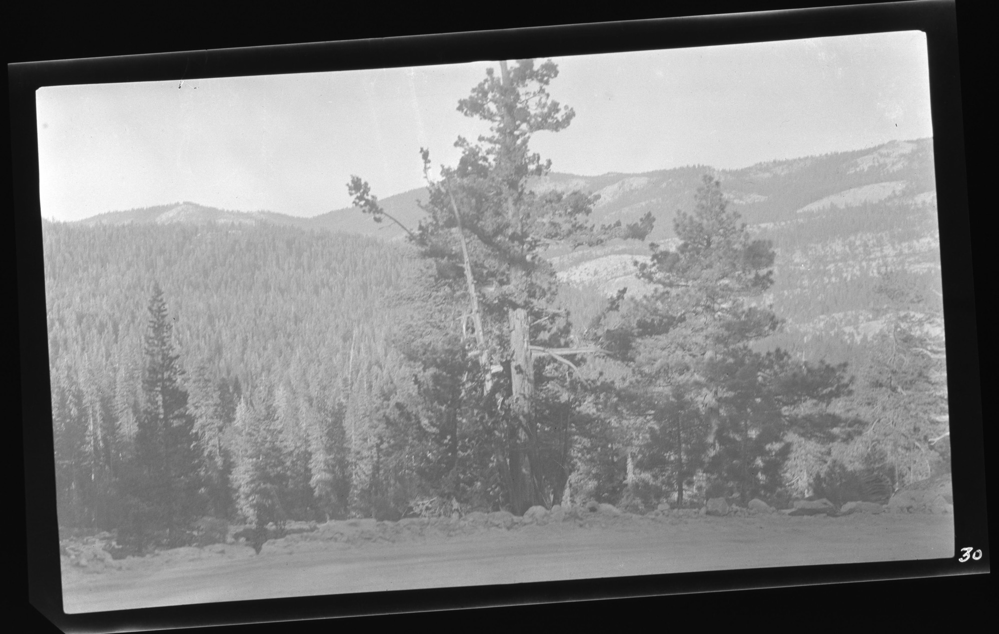 Crest country from Tioga Pass Road.