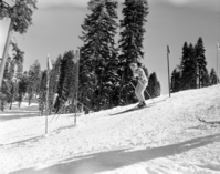 Badger Pass