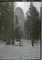 Sit of Galen Clark's cabin; Hdqtrs for administration of Valley & Big Trees. Hole marks the basement under kitchen.