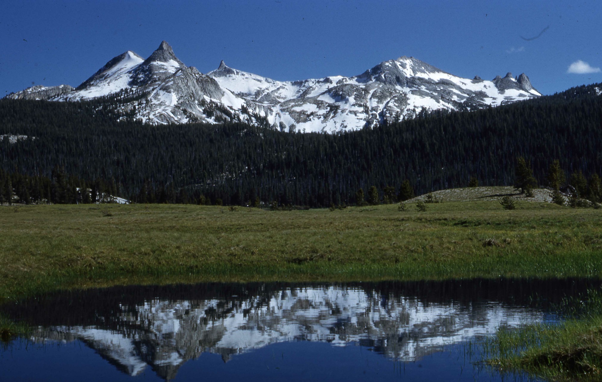 Tuolumne Meadows