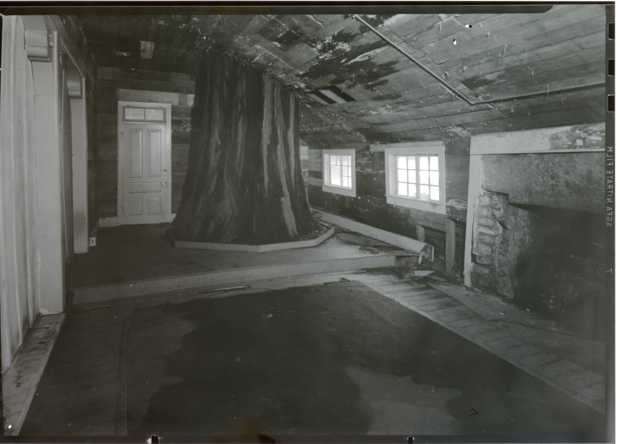 Big Tree Room of Cedar Cottage.