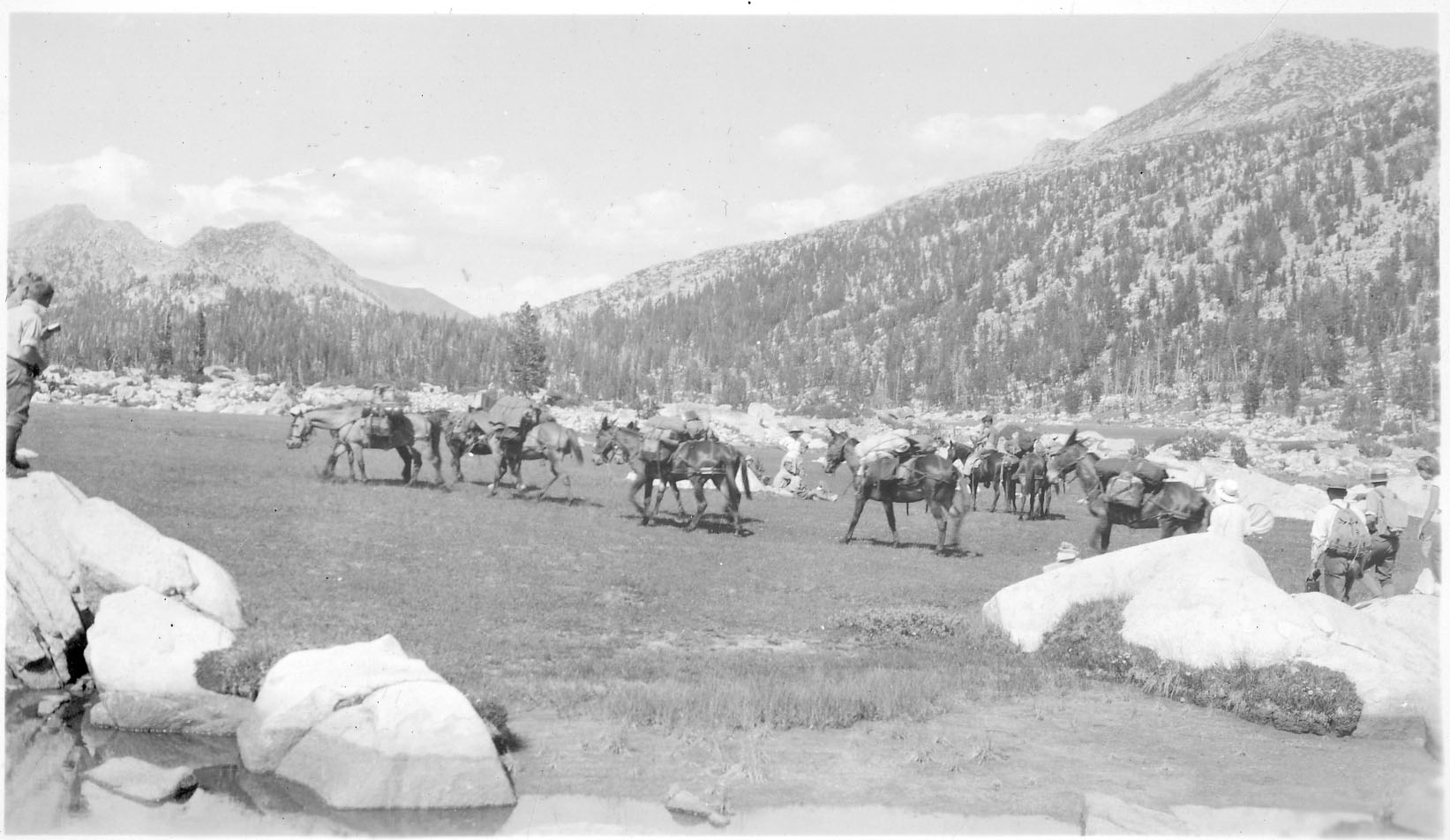 Field School on horses in mountains