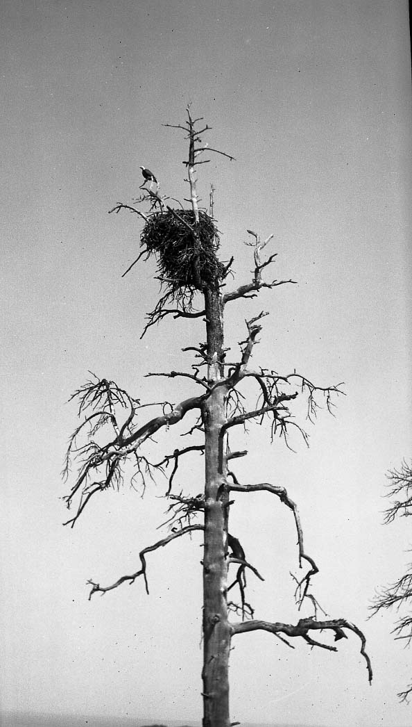 Lava Beds National Monument