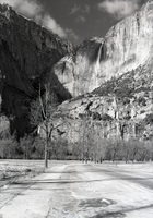 Yosemite Falls from near old village.
