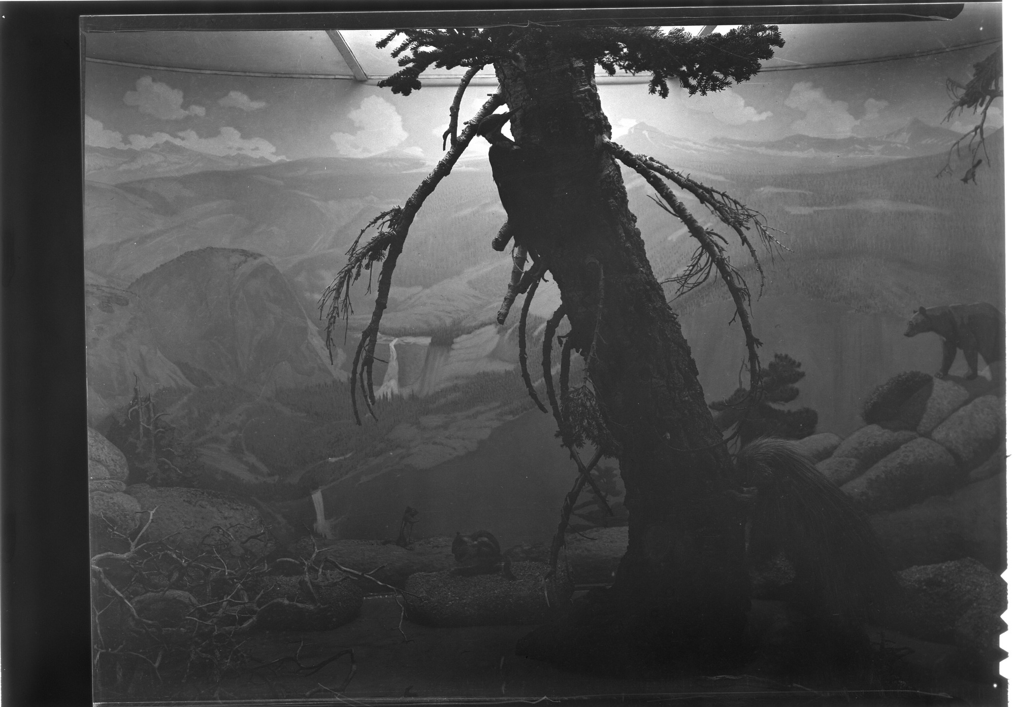 Canadian Zone case in museum under construction.