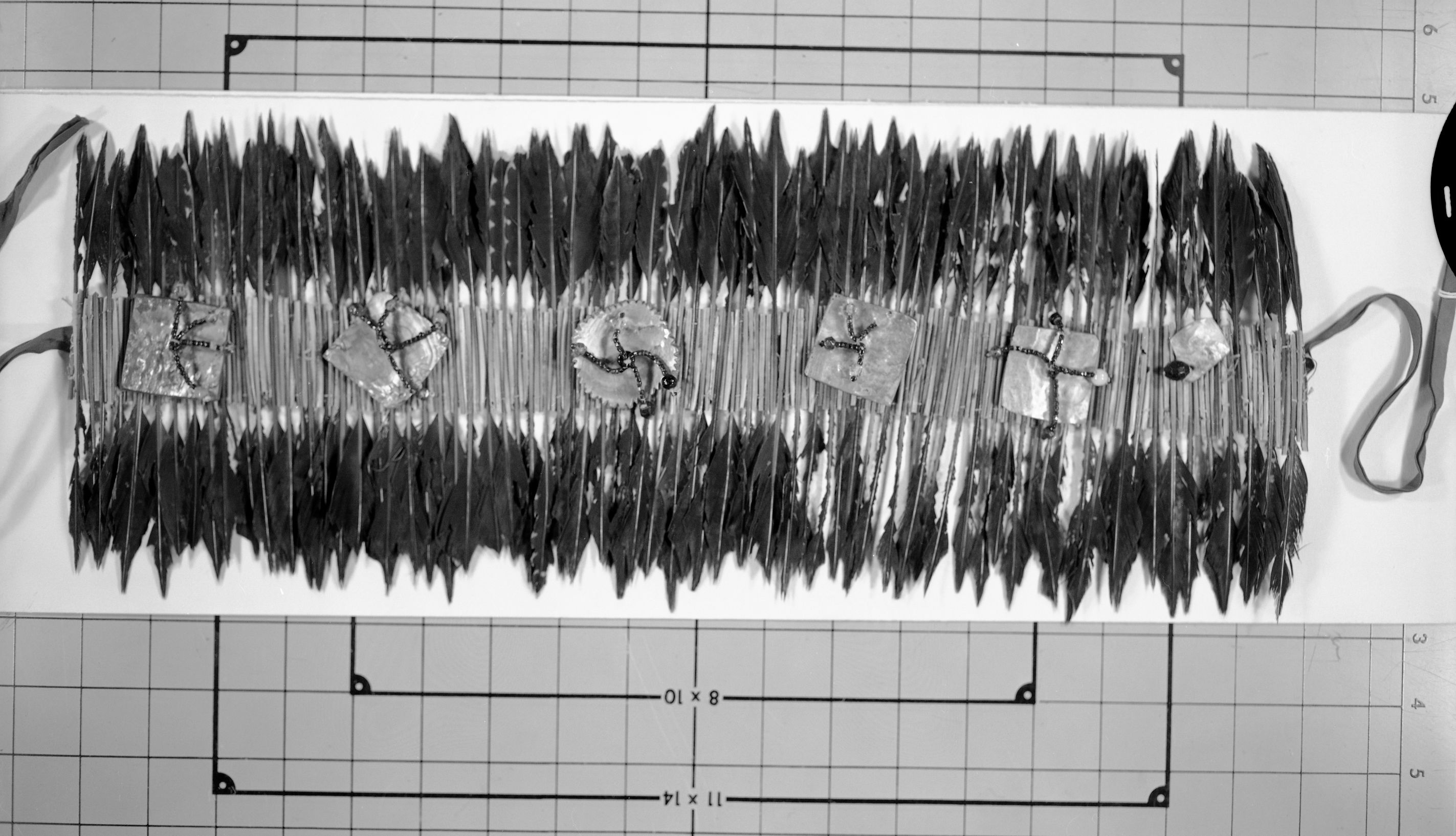 Southern Miwok type flicker quill headband. Cat. No. 26,812 YNP Collection.