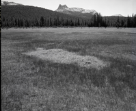 Cathedral Peak, emphasizing meadows - Tuolumne Meadows.