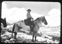 Copied from a 35mm Kodachrome