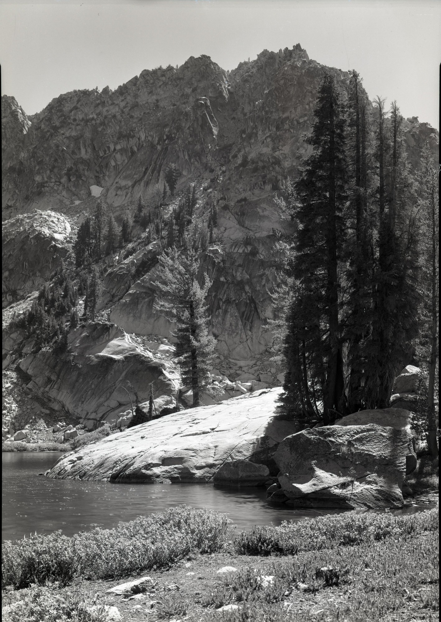 Near Rodgers Lake in north end of the park.