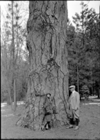 Mr. & Mrs. Wm. Wheeler, San Diego Tribune.