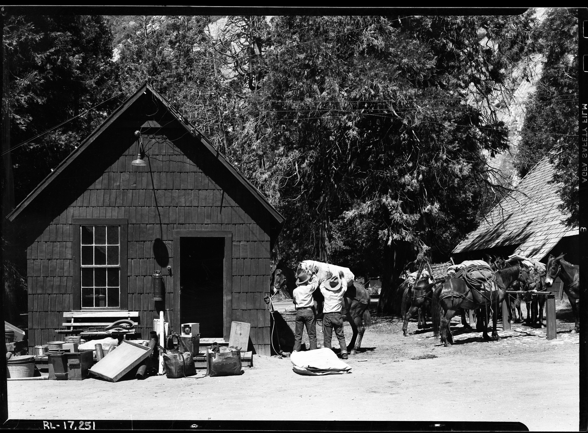 Preparing Pack Train