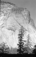 Rock slide at foot of Glacier Point cliff. (Penciled in on the original envelope - "This neg doesn't go").