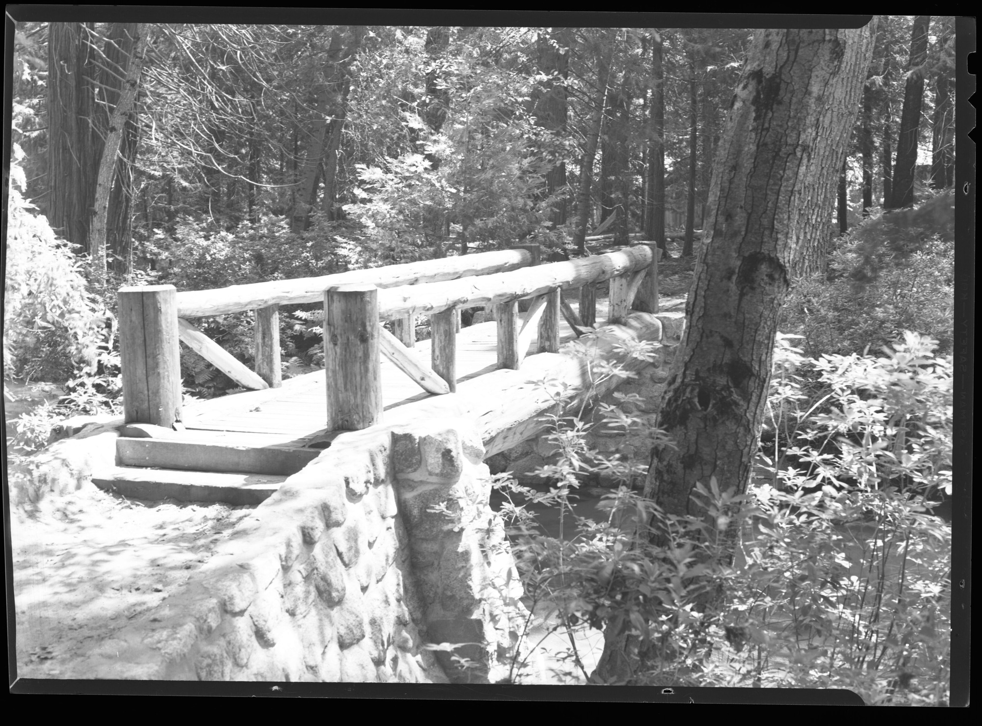 Footbridge across Yosemite Creek.