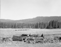 Foresta. Big Meadows property of Horace Meyer. Note cattle in meadow. A-2.