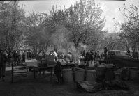 Fire camp at Myers Ranch orchard.