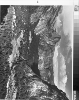 Copy Neg: MD 1986; Fig. 9B from A Preliminary Survey of the Influence of White Man On The Vegetation of the Yosemite Valley by Gibbens. The upper end of YV as it appeared from Columbia Point in 1943. Note the complete change in the character of the forest, from oepn oak stands to a dense ponderosa pine, incense cedar mixed forest in the upper end of the Valley.