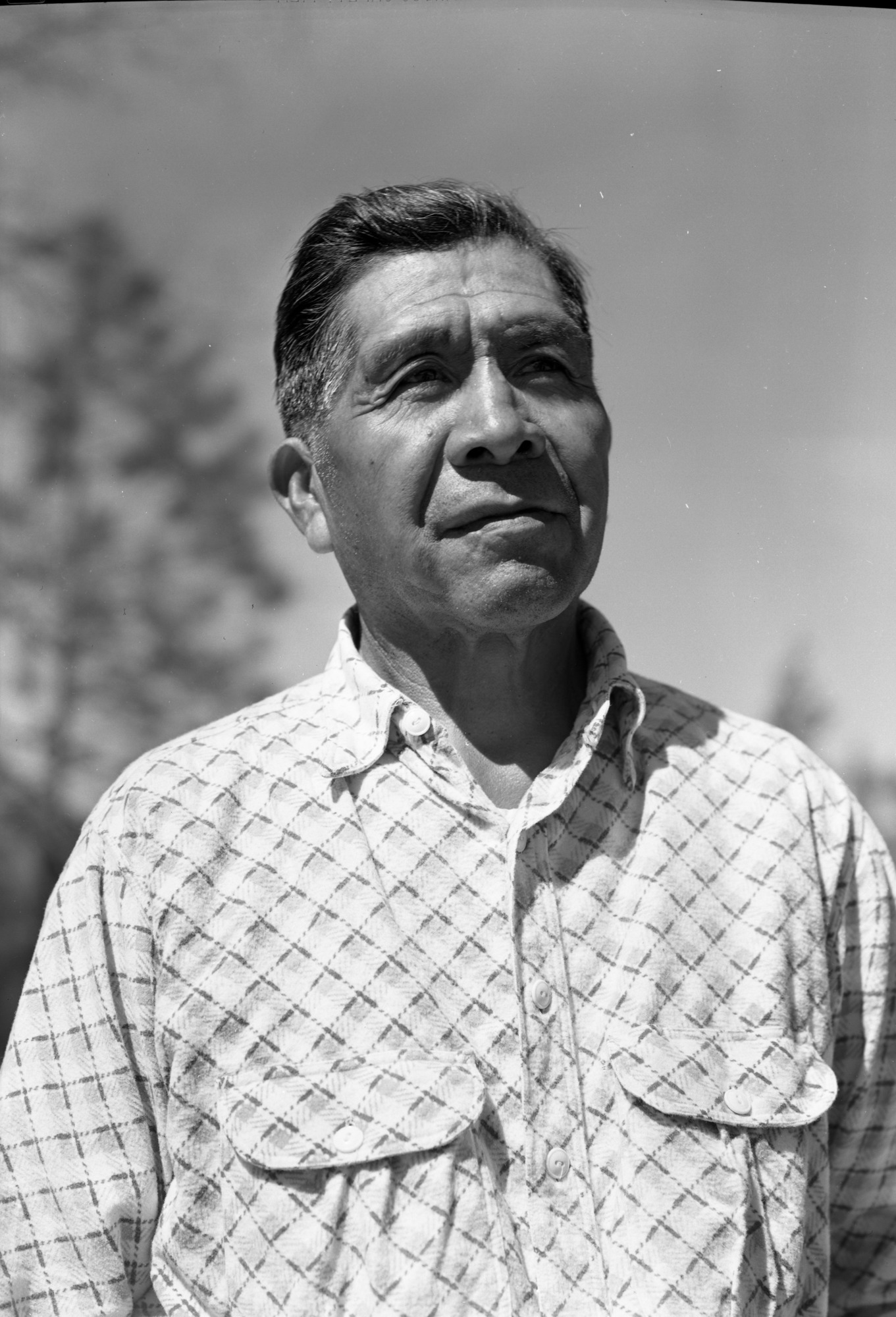 Willy Rhoan, Chuckchanci & Digger Indian at Oakhurst