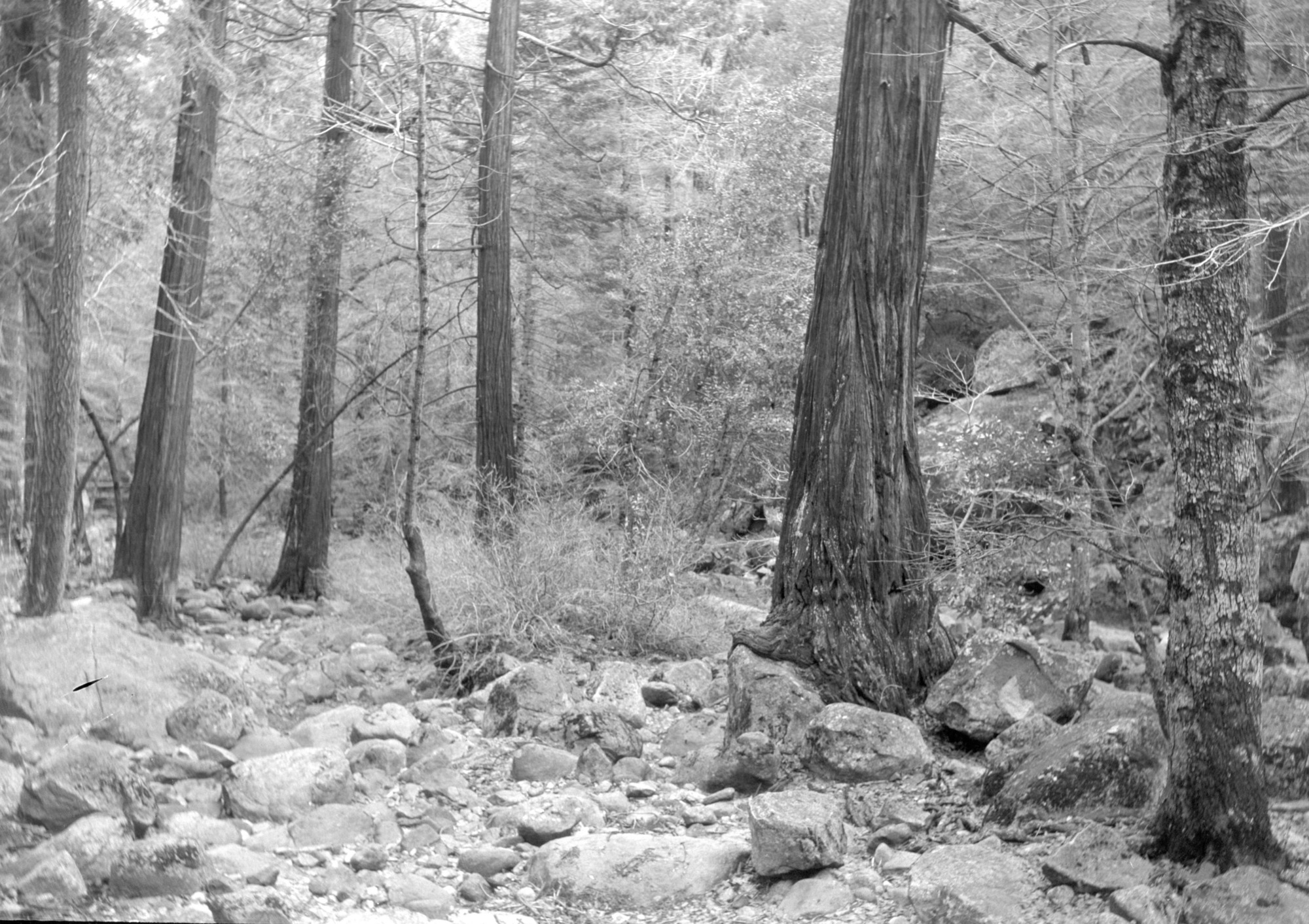 Happy Isles after removal of debris