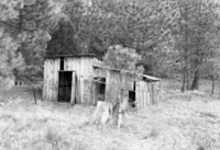 Scroggs Buildings