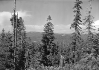 Mt. Baldy from Crane Flat Lookout - #1 Panorama