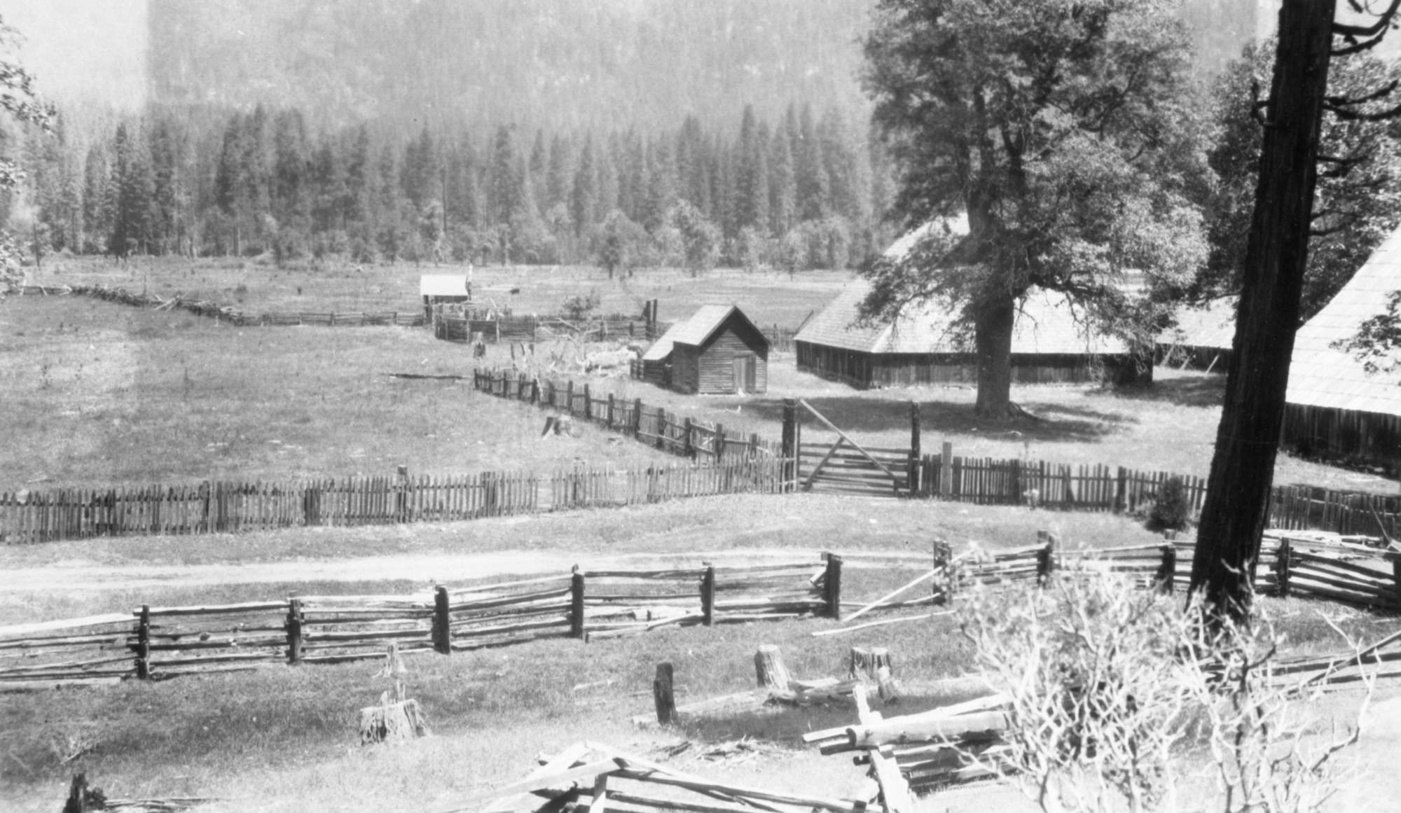 Big Meadow Area.